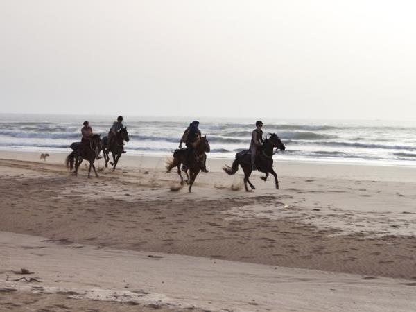 Morocco horse riding holiday, beach ride