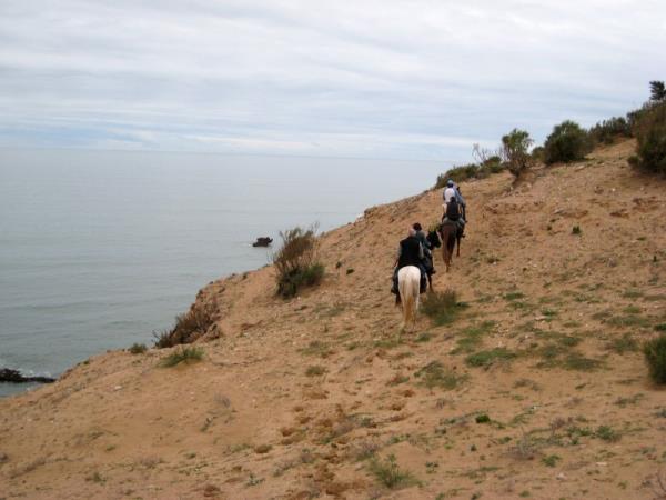 Morocco horse riding holiday, beach ride