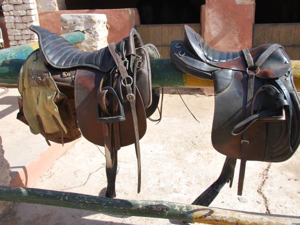 Morocco horse riding holiday, beach ride