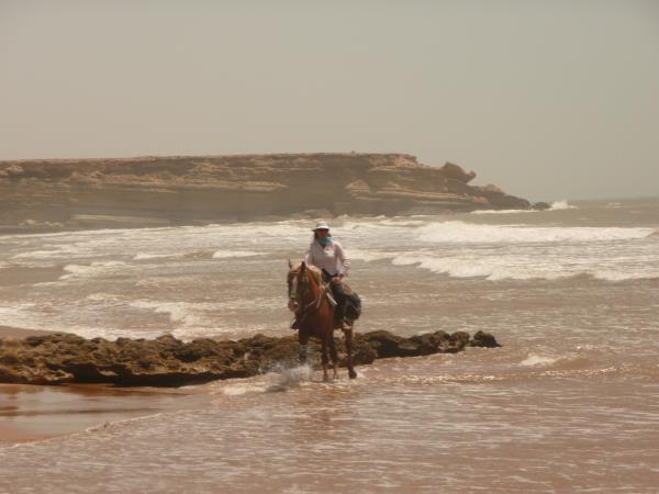 Morocco horse riding holiday, beach ride