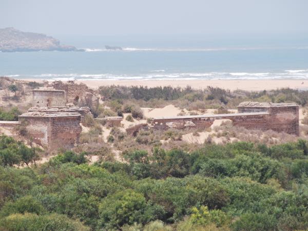 Morocco horse riding holiday, beach ride