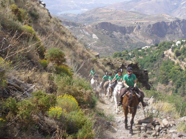 Horse riding holiday in Sierra Nevada Mountains, Spain
