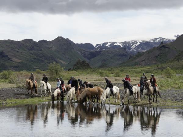 Horse riding holiday in Iceland