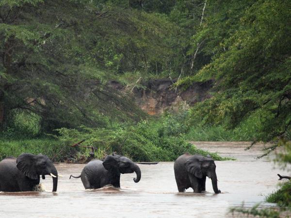 Highlights of Uganda safari holiday