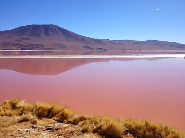 Bolivia salt lakes, lagunas & volcanoes holiday