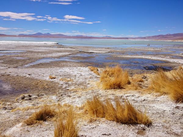 Bolivia salt lakes, lagunas & volcanoes holiday