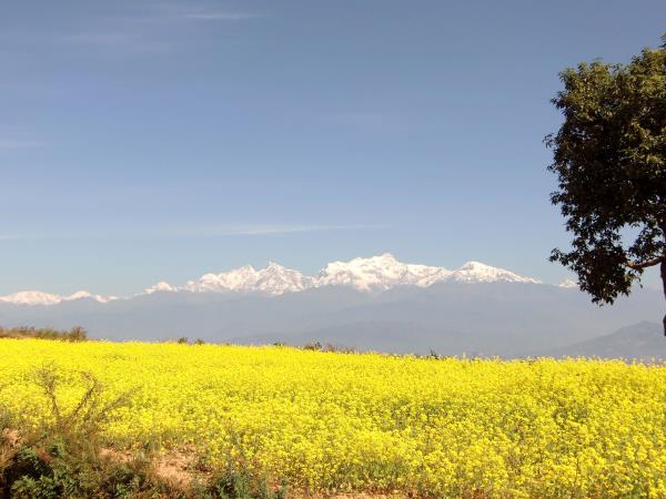 Nepal family holiday