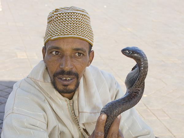 Marrakech and Atlas mountains holiday in Morocco