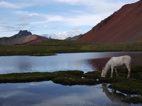 Cordillera Ausangate Lodge trek, Peru