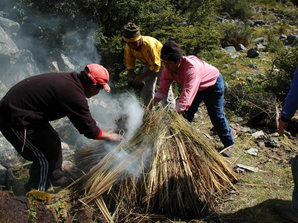Trekking holiday in Peru, Mount Ausangate