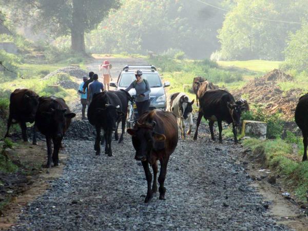 South India cycling tour, coast to coast