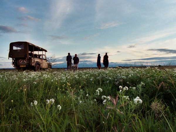 Kenya wildlife camping safari