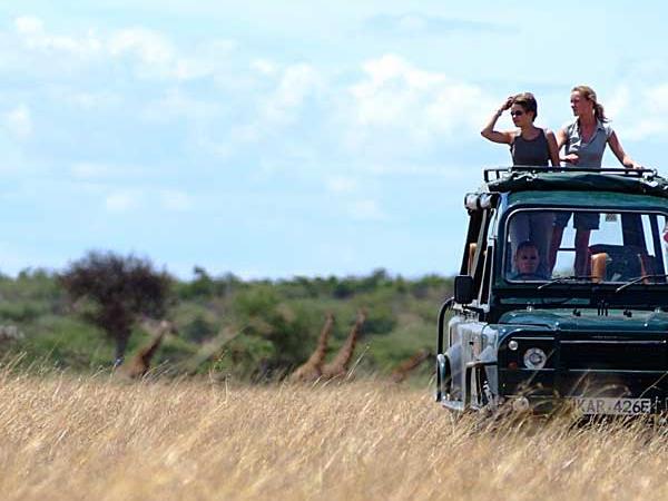 Kenya wildlife camping safari