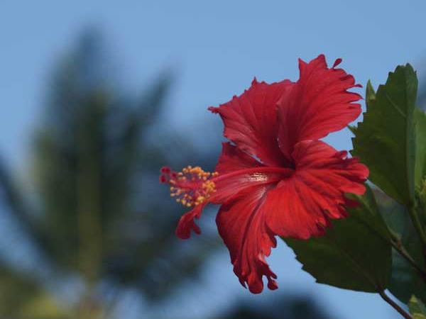 Kerala holiday, Malabar Adventure