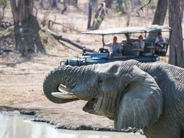 Malawi safari and beach holiday