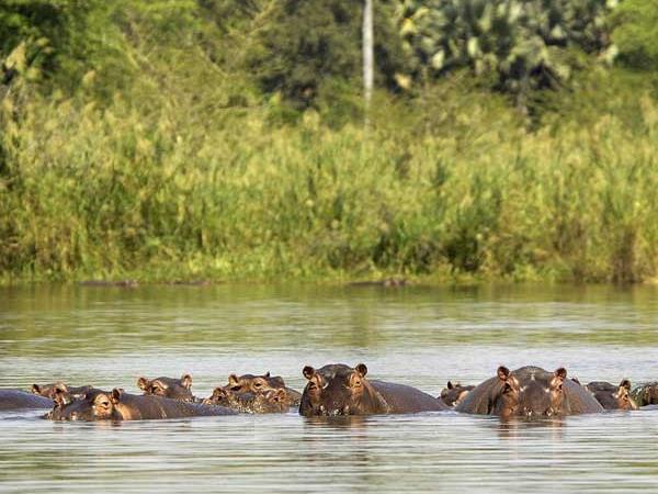 Malawi safari and beach holiday