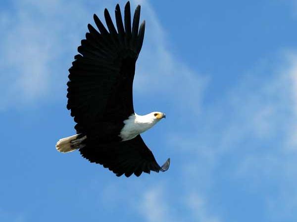 Malawi safari and beach holiday