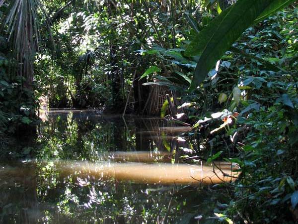 Peru tailor made holiday, Machu Picchu & Tambopata