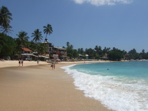 Tailor made wildlife tour of Sri Lanka