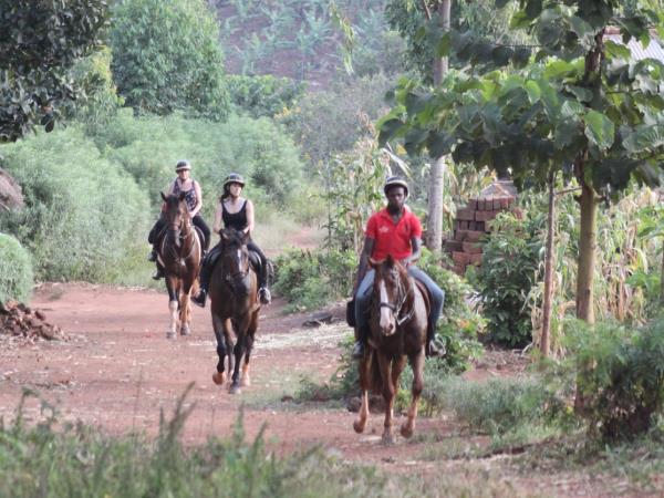 Horse riding safari in Uganda