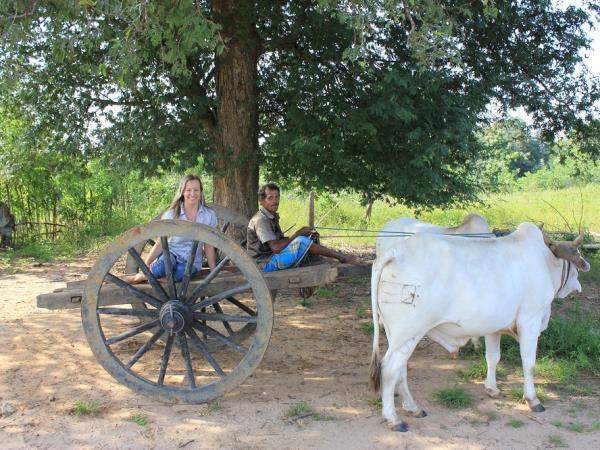 Tailor made classic family holiday to Sri Lanka