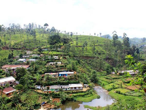 Tailor made classic family holiday to Sri Lanka