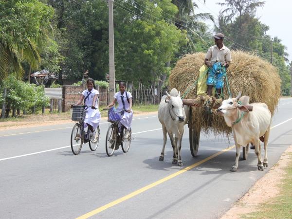 Tailor made classic family holiday to Sri Lanka