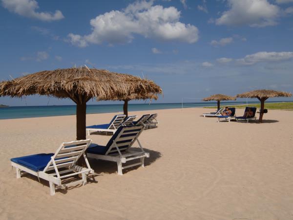 Honeymoon adventure in tropical Sri Lanka