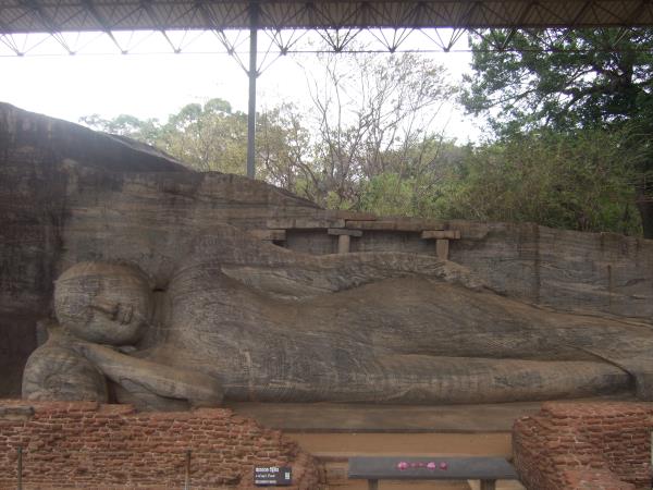 Honeymoon adventure in tropical Sri Lanka