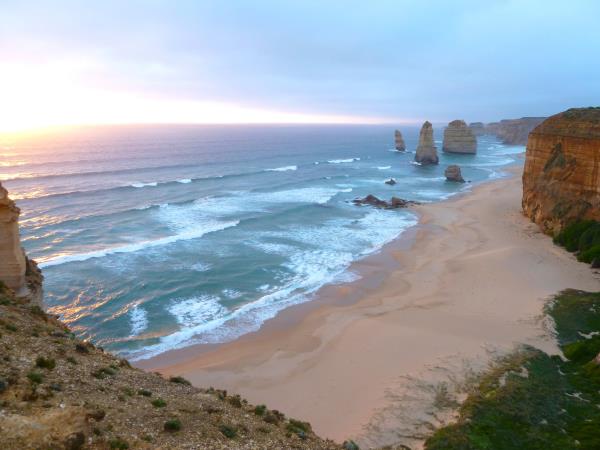 Great Ocean Road wildlife tours, Australia
