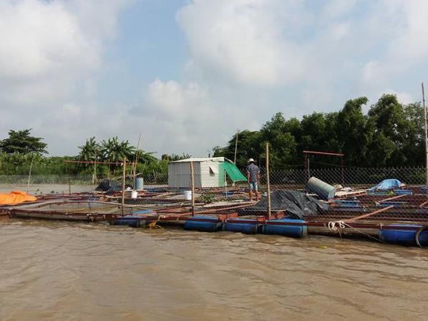 Tailor made family holiday in Vietnam