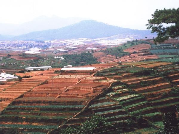 Tailor made family holiday in Vietnam