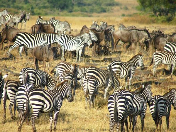 Kenya family holiday