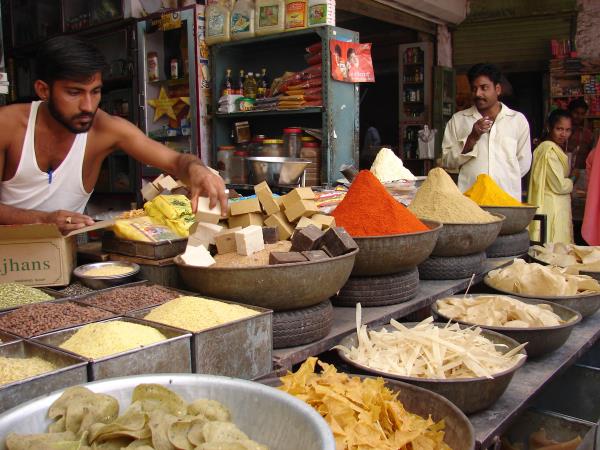 India family holiday