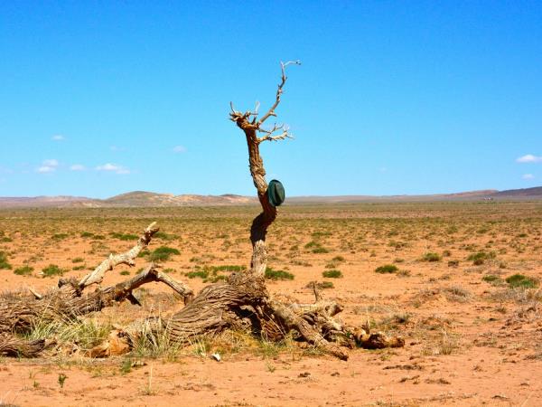 Mongolia family holiday for all ages