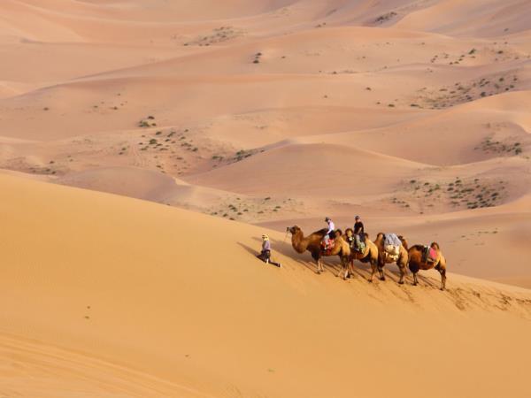 Mongolia family holiday for all ages