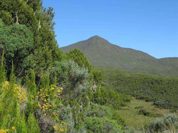 Mount Kenya walking holiday, Kenya