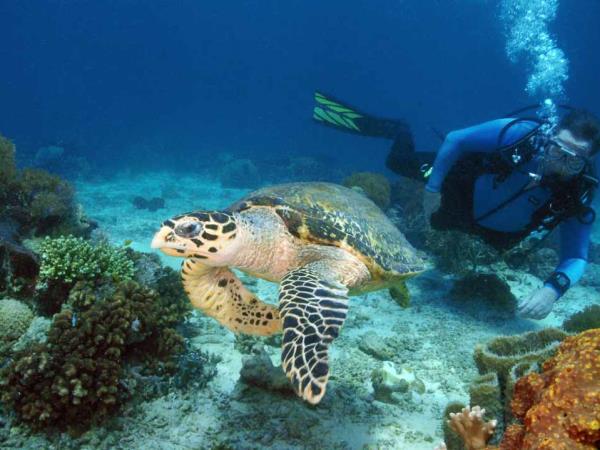 Vietnam culture and beach holiday