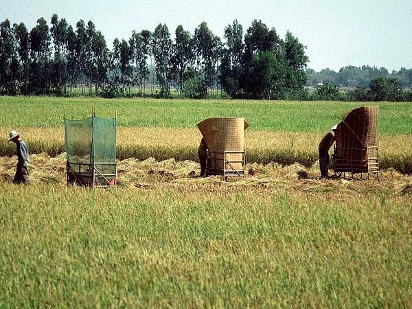 Vietnam heritage tour