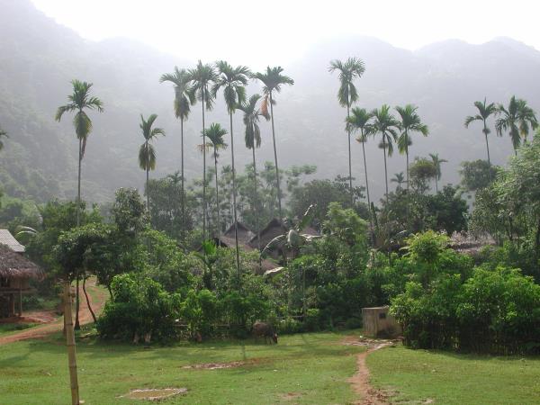 Vietnam Hill Tribe holiday