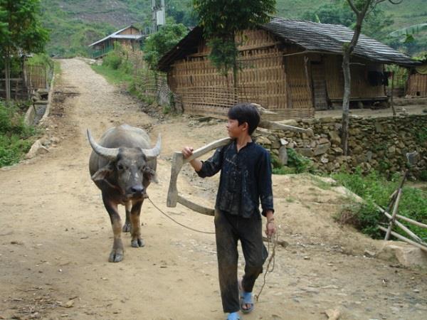 Vietnam tailor made adventure tour