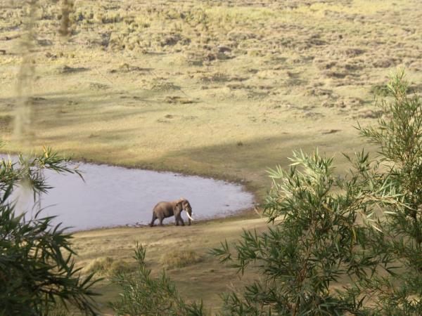 Mount Kenya walking holiday, Kenya