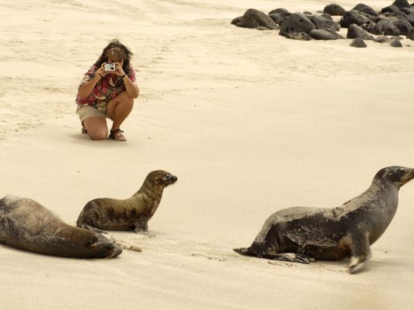 Flexible Galapagos Islands tailor made tour