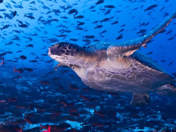 Galapagos active adventure tour, land based