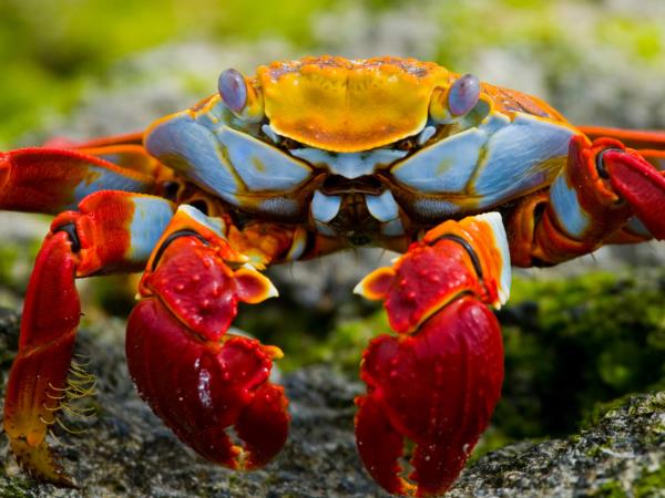 Galapagos active adventure tour, land based