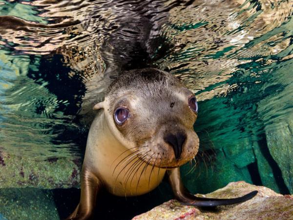 Galapagos active adventure tour, land based