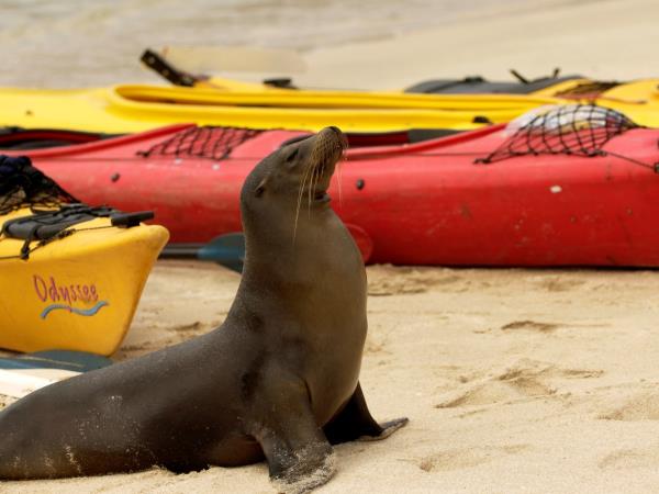 Galapagos active adventure tour, land based