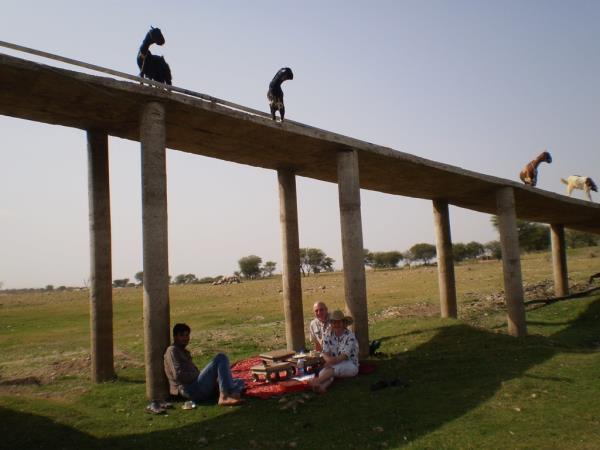 North India cultural tours