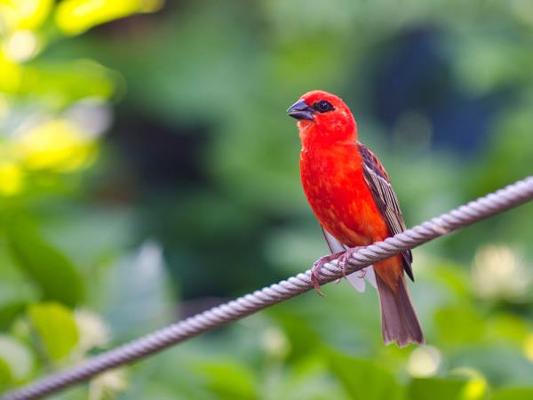 Northern Madagascar private tour