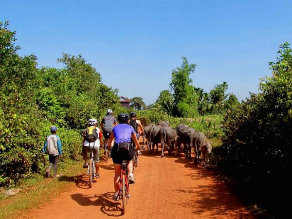 Cambodia cycling tour, tailor made